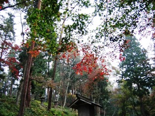 �����ƕ揊