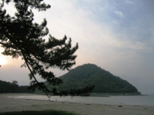 �e���l���猩���w���R