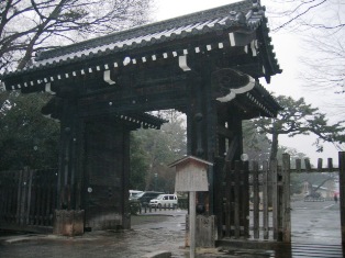 �J�̔����