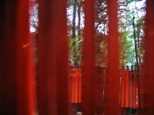 ������ׂ̐�{����