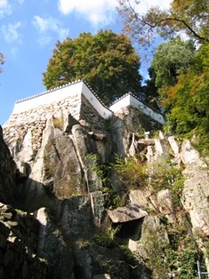 �˔@�Ƃ��Č���܂�