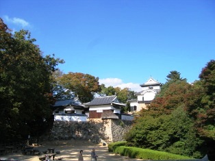 �����V��